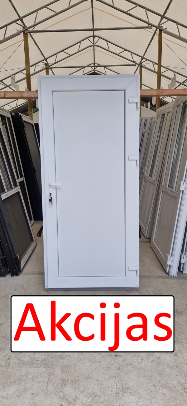 PLASTIC INPUT DOORS WDS, Nr.4, white, PVC PANEL, 32MM