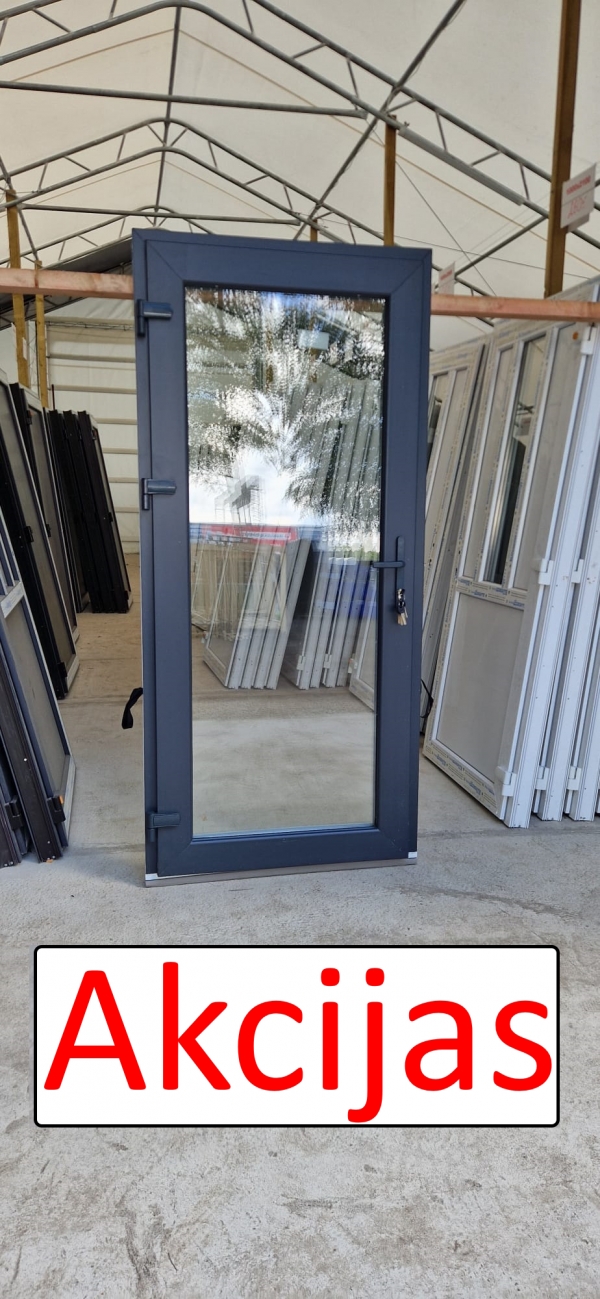 PLASTIC INPUT DOORS WDS, Nr.2, anthracite, GLASS, 32MM