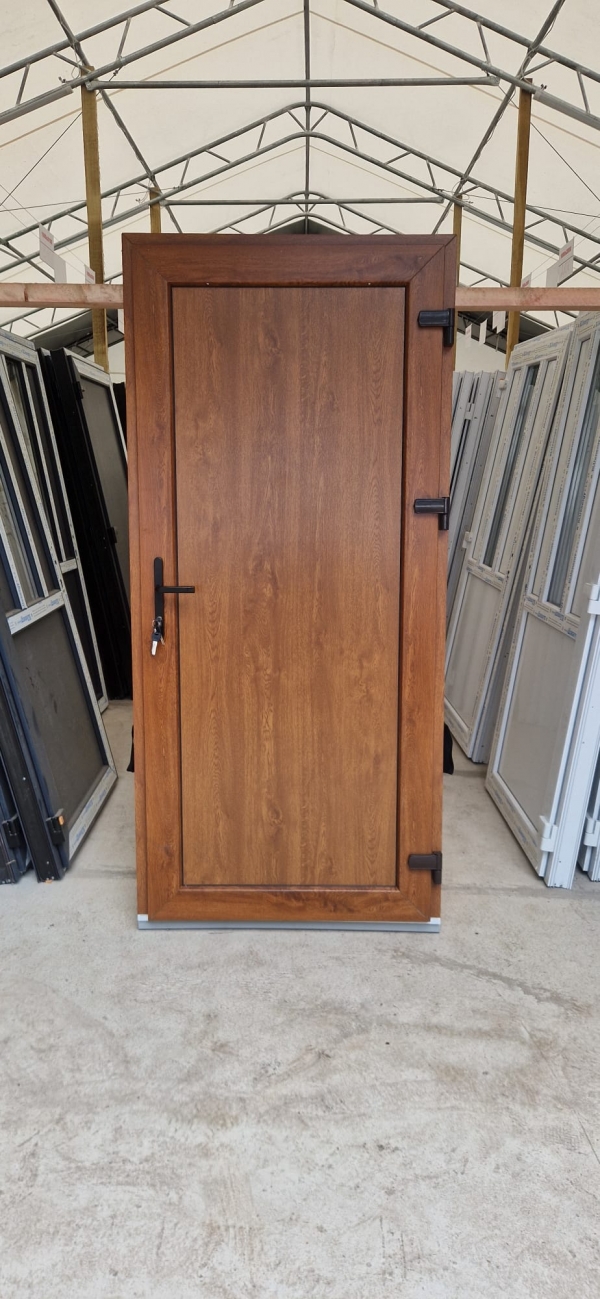 PLASTIC INPUT DOORS WDS, Nr.4, golden oak, PVC PANEL, 24MM