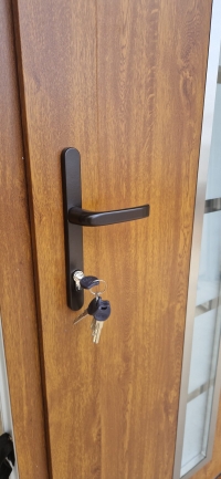 PLASTIC INPUT DOORS WDS Nr.10, Golden Oak 48MM